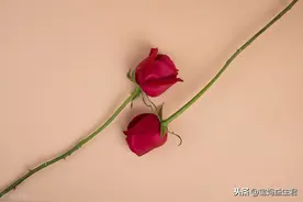 妇科内镜检查之阴道镜图片