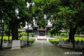 农村俗语：前不栽桑柏，后不栽柳槐，为啥？家宅种树有三个讲究图片