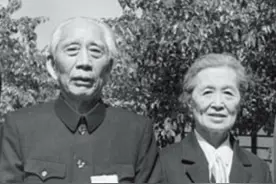 浏阳北乡云兴王氏太原堂上将王震家族图片