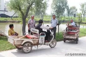 丰县被改造过的农村，淳朴而有新意，这才是大家期待中的模样图片