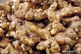 硫磺熏的姜怎样辨认？老姜农：牢记4招，硫磺姜一看便知图片