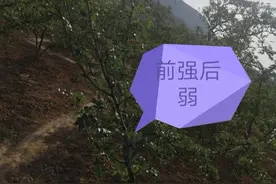 5月份花椒树如何管理,有哪些技术要点需重视？早看早知道！图片