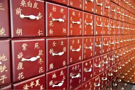 倪海厦诊疗日志（二）——终于明白倪师为何痛恨西医图片