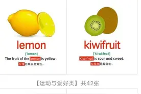 10个主题795张单词卡 带音标和例句 图案精美可打印 英语启蒙必备图片