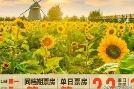 13亿！《我和我的家乡》幕后更震撼！邓超：能把沙漠变绿洲多么不容易！致敬图片