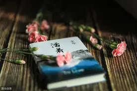 《活着》：我从农民福贵身上获得了一种安慰图片