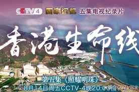 邓小平说，这个项目了不起图片
