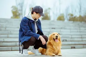 冬天最佳遛狗时间是什么时候？需要注意什么？图片