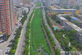 「美丽太原我的家」南沙河 流动的绿色风景图片