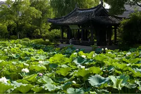 爱情之园，《钗头凤》绝唱，绍兴沈园图片