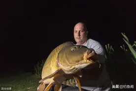 都说夏季夜钓好，夜深人静能上大鱼？要理性分析夜钓的优缺点图片