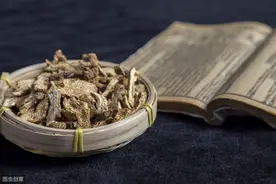 苍术是抗疫“小卫士”！苦温燥烈，善于祛湿发汗图片