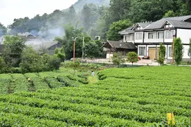 回味无穷的满族酸汤子图片