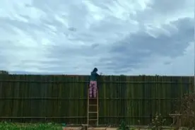 走进李子柒住的大庄园，光面积就上千平方，四周种满绿植果树图片
