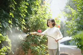假装鸡汤，其实还是断舍离：把时间浪费在——自己喜欢的事情上图片