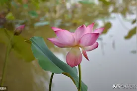 一位老人告诉我：说话“模棱两可”的人，往往是个高人，别小看了图片