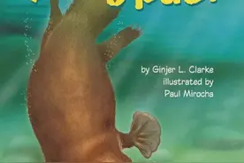 有声英文绘本故事《Platypus！》鸭嘴兽图片