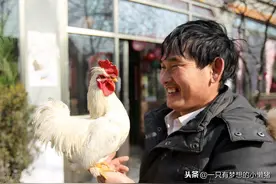 从朱之文的村民看变味的亲戚关系，其实亲戚并不希望你过得好图片