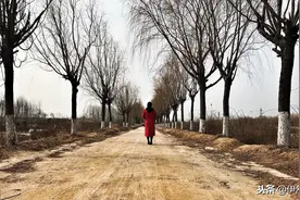 为爱远嫁15年，说说我这个过来人的经历，那是一场回不去的旅程图片