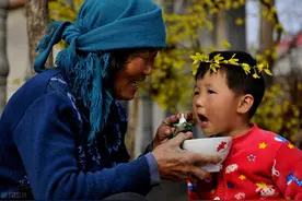 农村俗语“鸡不三年，犬不六载”啥意思？老话讲的在理么？图片