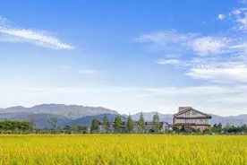 你有多久没去旅行了？走，带你云游台湾省宜兰的“枣稻田”吧图片