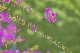 再次联系，已经没有曾经的美好，最终只是一场熟悉图片