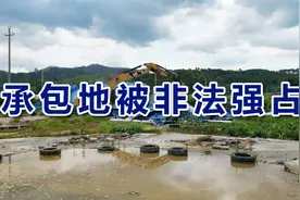 自家承包地被非法强占怎么办？3个方法助您夺回土地权益图片