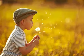 孔子的仁爱：天下本非一家，只因仁的存在而生出无远弗届的爱图片