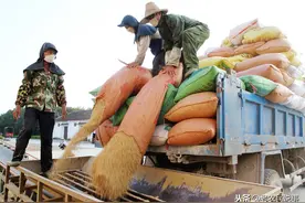 全球爆发50年最严重粮食危机！国际粮价上涨，国内粮价会涨吗？图片