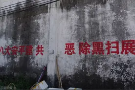 安徽“刘氏兄弟”涉黑案：设专项资金拉拢干部包括一名厅级领导图片