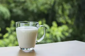 牛奶是必需品还是阴谋？为什么人类是成年以后唯一能喝奶的动物？图片