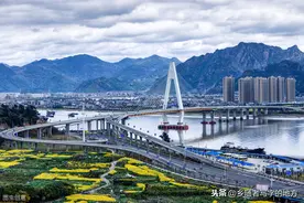 温州市百强企业名单图片