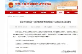 农业农村部征求意见，狗肉可能将禁食！图片