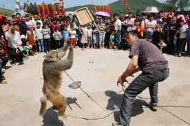 河南农村的街头“喜剧”：看“耍猴人”怎样的“江湖”路图片