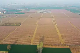 农村贫困地区返贫成因及对策探析图片