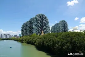 2020年6月21日拍摄的海南三亚“大树造型”高楼，远眺如城市森林图片
