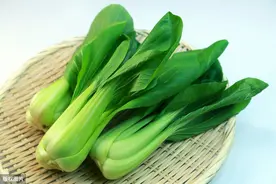 青菜买回家就蔫了？教你个小妙招，和刚买回来一样新鲜翠绿图片