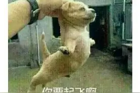腾讯做的游戏征服老外？三天下载破两千万，国服10月20日开测图片
