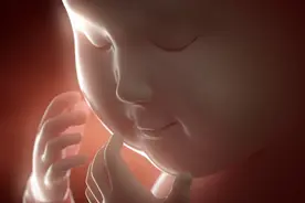 孕期爸爸惹妈妈生气，胎宝宝安慰妈妈的方式，真的暖心又戳心图片