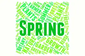 Spring AOP竟然会导致Bean注入失败图片