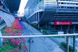 网上广交会免费参加！（附参展指南）图片
