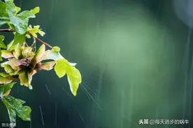 《六月二十七日望湖楼醉书》宋·苏轼 夏天的古诗词 有声朗读图片