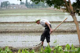 农村俗语“腊月初一雪，从春旱到夏”是什么意思？有道理吗？图片