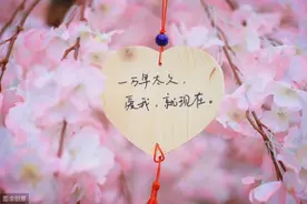 春季养肝，防患于未然图片