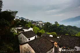 俗语：“榆木上房，落草为王；桐木做床，春梦不长”，是啥意思？图片