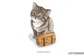 插画师就是魔术师一样的存在，让可爱的萌宠更可爱图片
