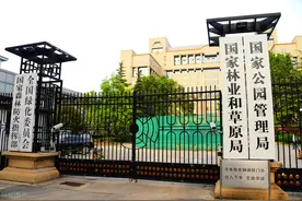 养殖户可以将大型鹦鹉，卖给无证的鹦鹉爱好者吗？看看厨子的分析图片