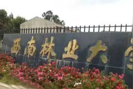 云南省内知名高校，昆明理工大学和西南林业大学图片