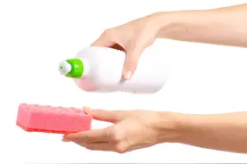 洗碗海绵擦，比你想得更危险图片