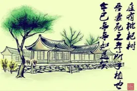 归有光的“今已亭亭如盖矣”名句，为何历几百年依然能深入人心？图片